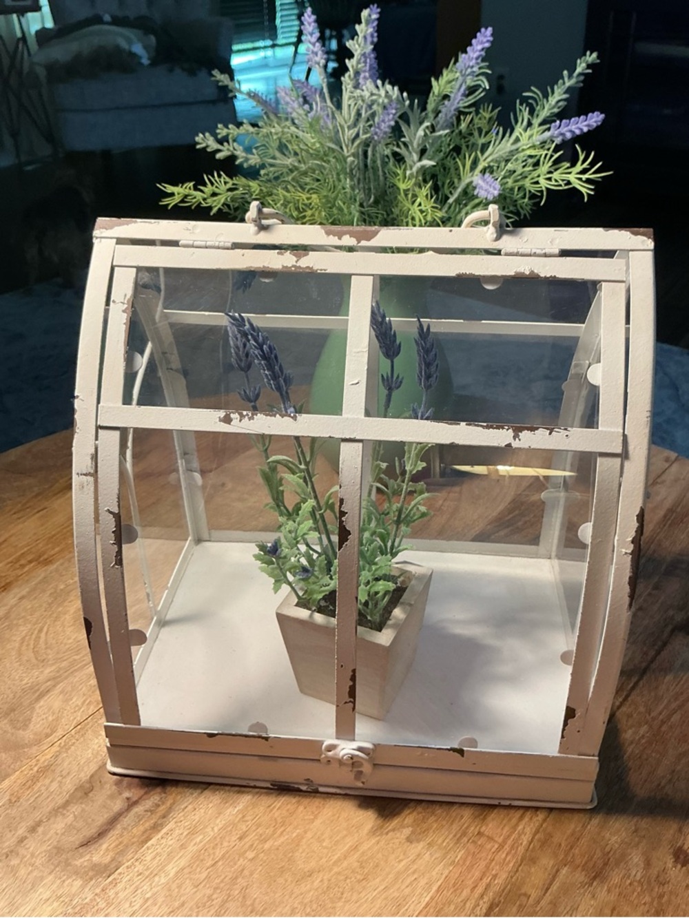 Distressed White Plexiglass Display Terrarium/Lavender Plant